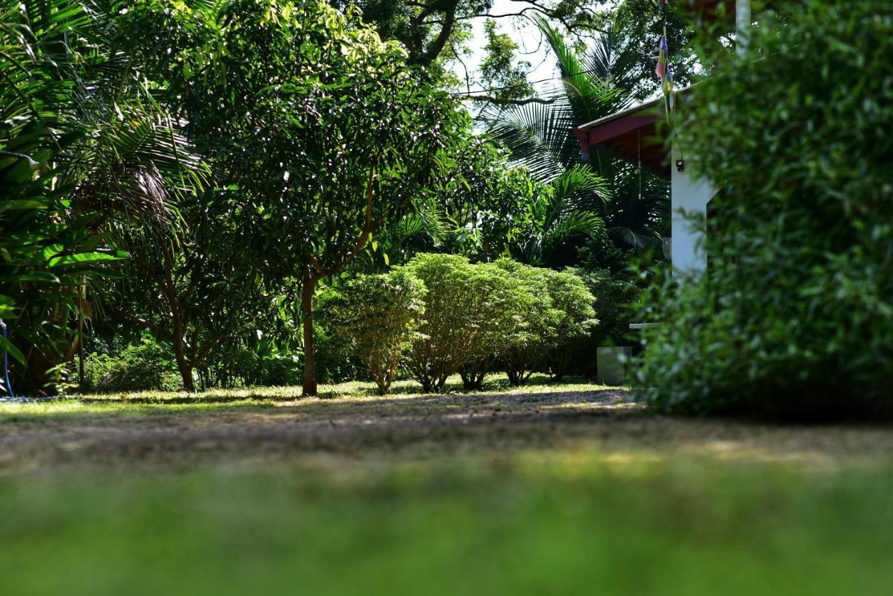 Tamarind Blue Hotel Tangalle Bagian luar foto