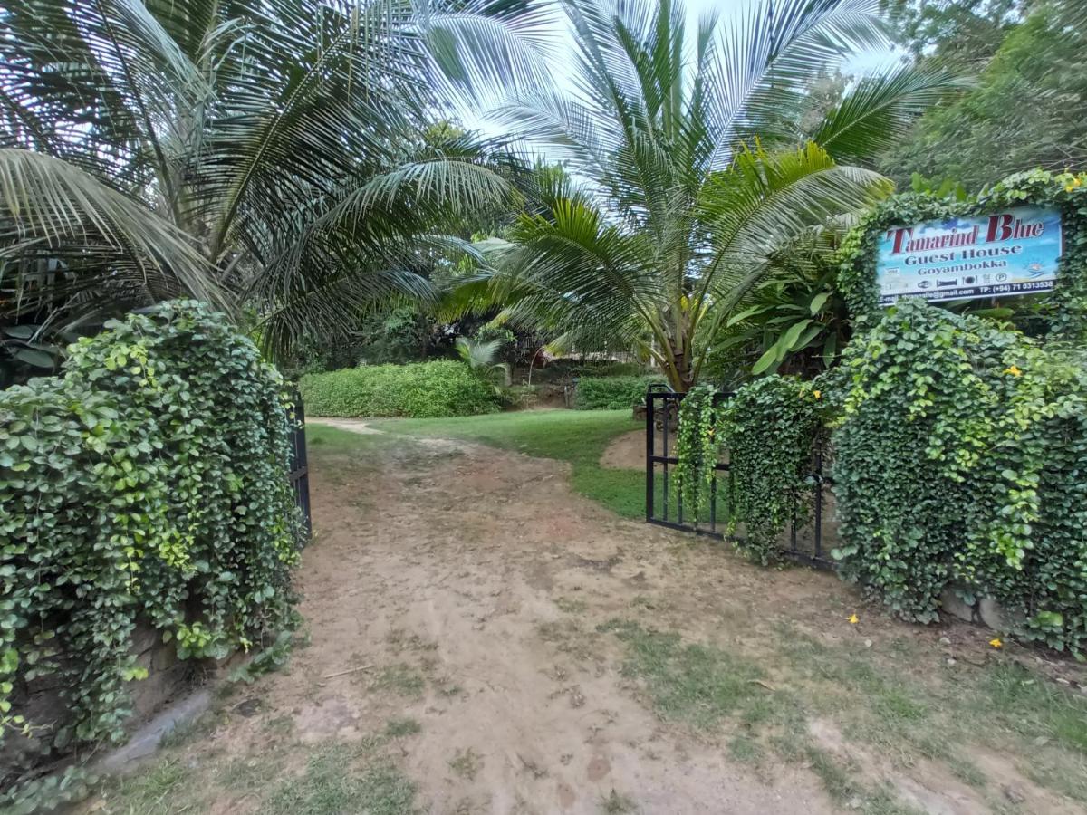 Tamarind Blue Hotel Tangalle Bagian luar foto